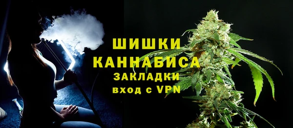 сатива Абаза