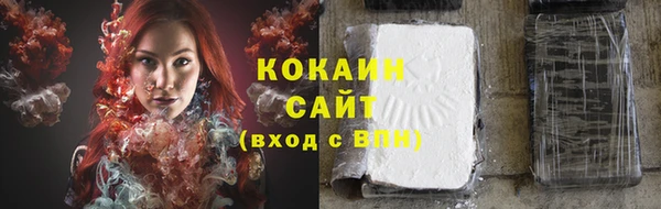 сатива Абаза