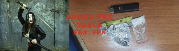 сатива Абаза