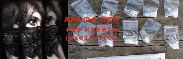 сатива Абаза